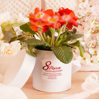 FLOWER BOX z Metalizowaną Etykietą Prezent na Dzień Kobiet